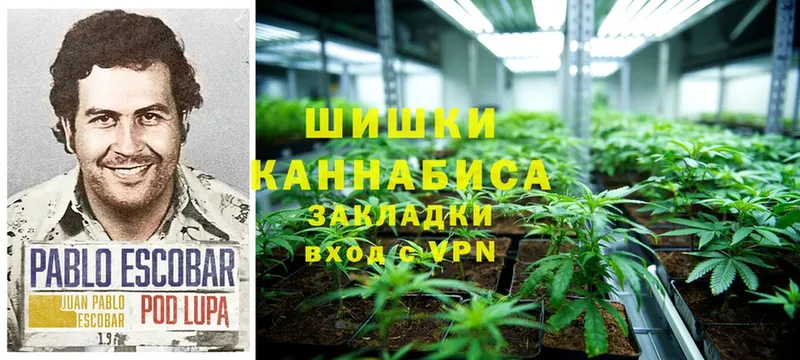 Конопля White Widow  Михайловка 